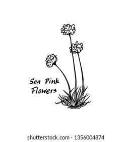 Vector card with hand drawn thrift. Beautiful floral design elements, ink drawing