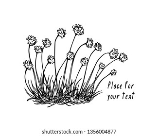 Vector card with hand drawn thrift. Beautiful floral design elements, ink drawing