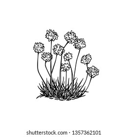 Vector card with hand drawn thrift. Beautiful floral design elements, ink drawing