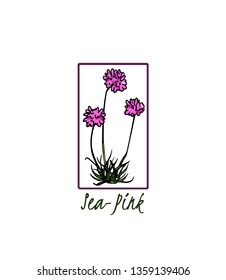 Vector card with hand drawn thrift. Beautiful floral design elements, ink drawing, botanical emblem