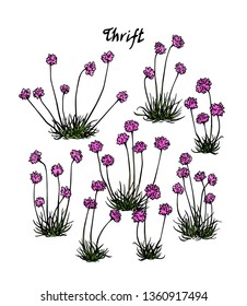 Vector card with hand drawn thrift. Beautiful floral design elements, ink drawing