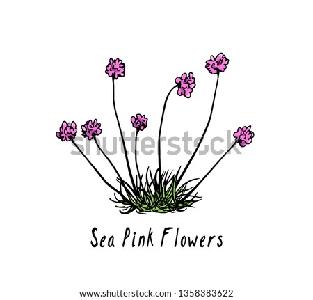 Vector card with hand drawn thrift. Beautiful floral design elements, ink drawing
