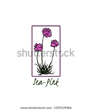 Vector card with hand drawn thrift. Beautiful floral design elements, ink drawing, botanical emblem