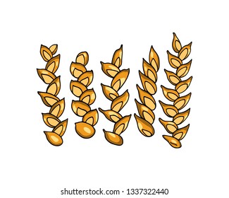 Vector card with hand drawn traditional French bread epi. Ink drawing, graphic style. Beautiful food design elements.