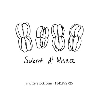 Vector card with hand drawn traditional regional French bread. Ink drawing, graphic style. Beautiful food design elements.