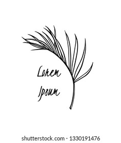 Vector card with hand drawn tropical leaf. Graceful plant. Beautiful ink drawing.
