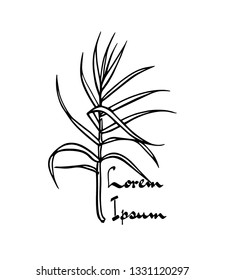 Vector card with hand drawn tropical leaf. Graceful plant. Beautiful ink drawing.