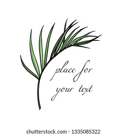 Vector card with hand drawn tropical leaf. Graceful plant. Beautiful ink drawing.