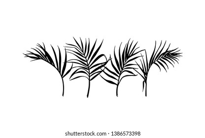 Vector card with hand drawn tropical leaves. Graceful plants. Beautiful ink drawing.