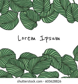 Vector card with hand drawn tropical leaves. Graceful plant. Beautiful ink drawing.
