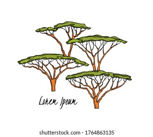 Vector Card With Hand Drawn Umbrella Thorn Acacia Trees Made With Ink. Beautiful Wild Nature Design Elements, Africa Travel Poster