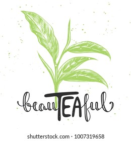 Vector card with hand drawn unique typography design element for greeting cards, decoration, prints and posters. Beauteaful with sketch of tea leaf, modern brush calligraphy with splash.