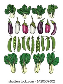 Vector card with hand drawn vegetables. Ink drawing, beautiful vegetarian design elements.