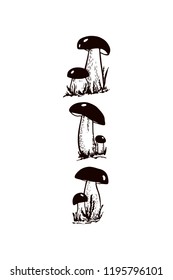 Vector card with hand drawn wild mushrooms. Ink drawing, graphic style. Beautiful food design elements