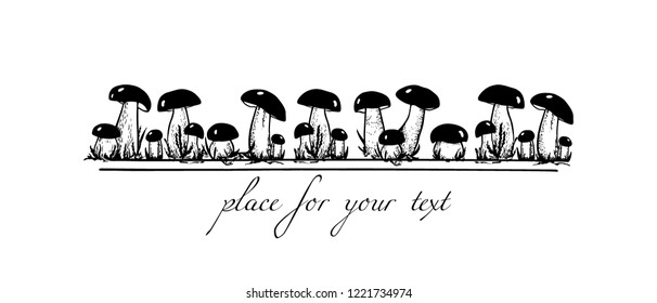 Vector card with hand drawn wild mushrooms. Ink drawing, graphic style. Beautiful food design elements