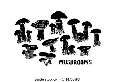 Vector card with hand drawn wild mushrooms. Ink drawing, graphic style. Beautiful food design elements, linocut style