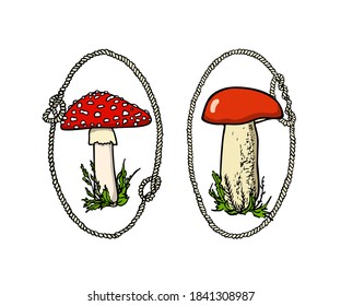Vector card with hand drawn wild mushrooms in nautical rope frames. Ink drawing, graphic style. Beautiful nature design elements.