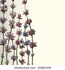 Vector card with hand drawn wildflowers on bright gradient background. Romantic floral design.