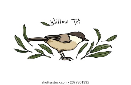 Vector card of hand drawn willow tit among graceful green leaves. Beautiful spring or Easter celebration illustration, ink drawing, graphic style.