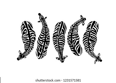 Vector card with  hand drawn zebras seen from above. Ink drawing, beautiful animal design elements.