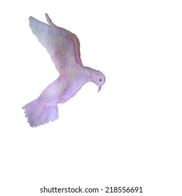 Vector card with hand painted watercolor pigeon flying in the sky