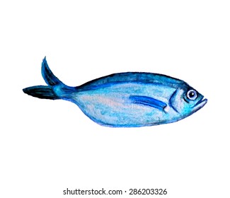 Vector card with hand painted watercolor sea fish. Beautiful illustration, perfect for any business related to the food industry.