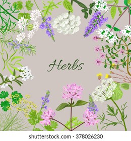 Vector card with herbal flowers. Vector illustration.