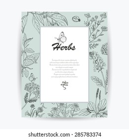 Vector card with herbs and place for your text. Vector illustration for your design