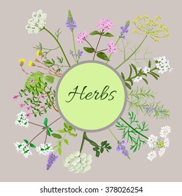 Vector card with herbs and plants. Vintage circle with herbal flowers illustration.