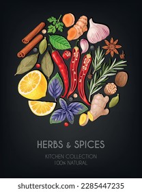 Vector card with high detailed spices and herbs