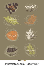 vector card with illustrations of plant leaves. For nature lovers. The theme of the summer. It can be used for packaging, invitations, postcard holiday, fabrics and etc.
