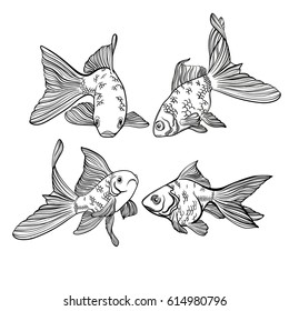 Vector card with image of a fishes. Goldfish and perch.