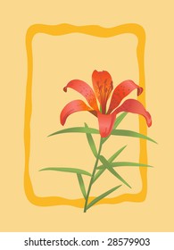 Vector card with the image of a flower of a lily with a framework.