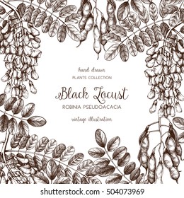 Vector card or invitation design with hand drawn Robinia flowers. Vintage frame with Black Locust sketch on white background. Floral wedding template. Save the Date.