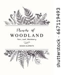 Vector card with a leafy bouquet. Frame with leaves, ferns and elderberries. Botanical illustration. Vintage style. Black and white.