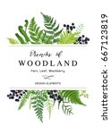 Vector card with a leafy bouquet. Frame with leaves, ferns and blue berries. Botanical illustration. Vintage style.