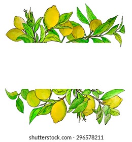 Vector card with lemon branches painted by hand in watercolor. Beautiful design element, perfect for any business related to the food industry. Watercolor fruit borders.