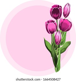 Vector card with lovely spring flowers, pink tulips. Print, backfround, walpaper. Card, greeting, template.