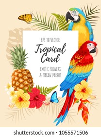 Vector card with macaw and flowers