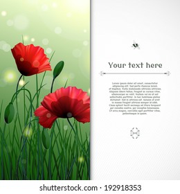 Vector card. Meadow with poppies and grass. Bokeh and sparks. Place for your text.