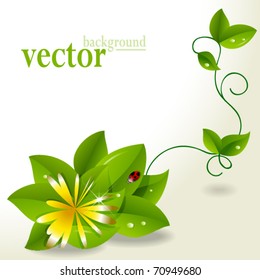 vector card with natural plant