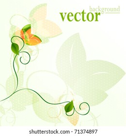 vector card with natural plant