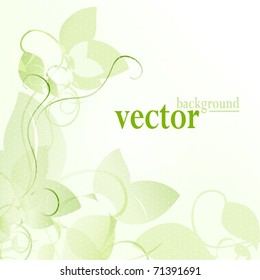 vector card with natural plant