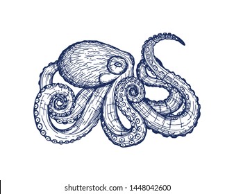 Vector card with an octopus on a white background. Beautiful design with animal print for t-shirt. Trendy poster for home decor. Vector hand drawing of a ballpoint pen isolated from the background.