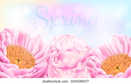 Vector Card with Pink Peonies and Sky. Spring or Summer Floral Template