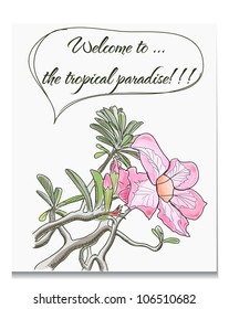 Vector card with pink tropical flower. EPS10 illustration