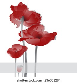 Vector card with poppies.