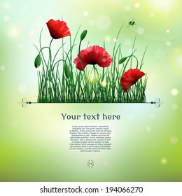 Vector card. Poppies and grass. 