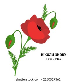 Vector Card With Poppy Flower and Ukrainian Description Which Means Never Again