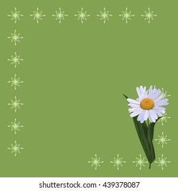 Vector card with realistic chamomile and elegant angular pattern on a green background. Summer flowers. Frame for text.